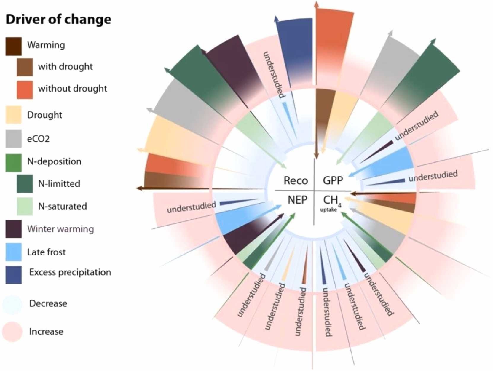 Effect of global change drivers on carbon fluxes and resilience of European forests
